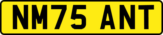 NM75ANT