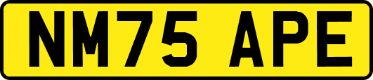 NM75APE