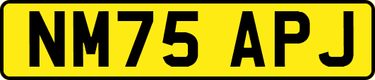 NM75APJ