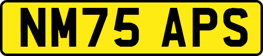 NM75APS