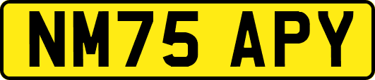 NM75APY