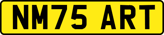 NM75ART