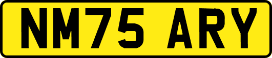 NM75ARY