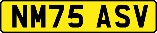 NM75ASV