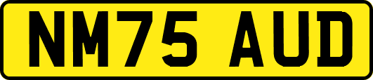 NM75AUD