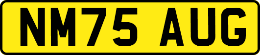 NM75AUG