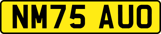 NM75AUO