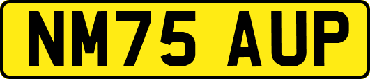 NM75AUP