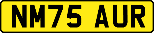 NM75AUR