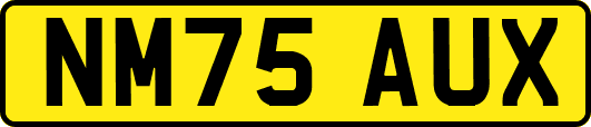 NM75AUX