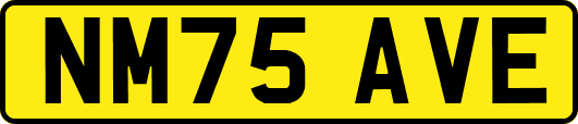 NM75AVE