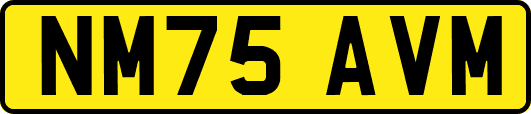 NM75AVM