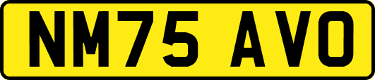 NM75AVO