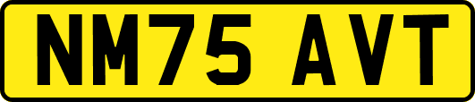 NM75AVT