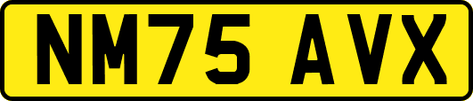 NM75AVX