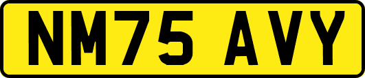 NM75AVY