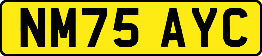 NM75AYC