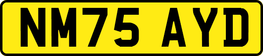 NM75AYD