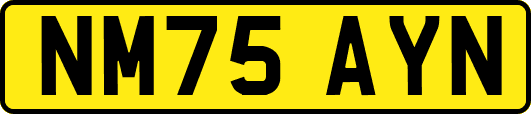 NM75AYN