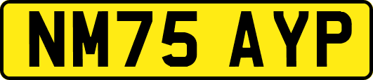 NM75AYP