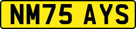 NM75AYS