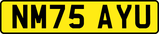 NM75AYU