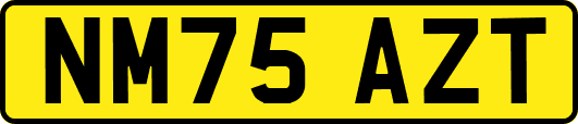 NM75AZT
