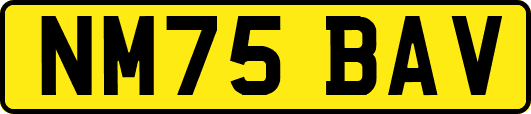 NM75BAV