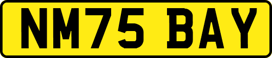 NM75BAY
