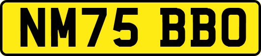 NM75BBO