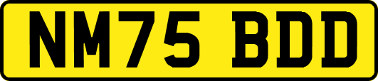 NM75BDD