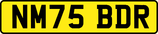NM75BDR