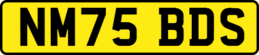 NM75BDS