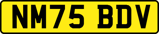 NM75BDV