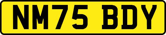 NM75BDY