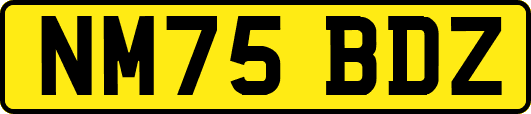 NM75BDZ
