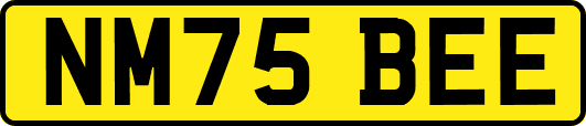 NM75BEE