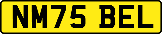 NM75BEL