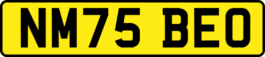 NM75BEO