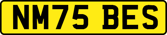 NM75BES