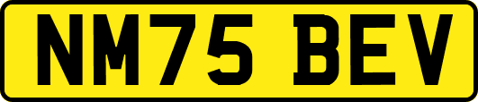 NM75BEV