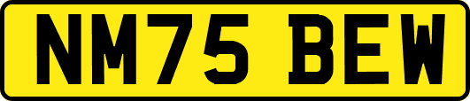 NM75BEW