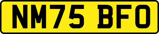 NM75BFO