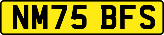 NM75BFS