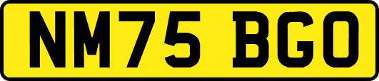 NM75BGO