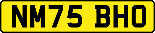 NM75BHO