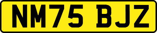 NM75BJZ