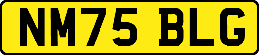 NM75BLG