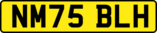 NM75BLH