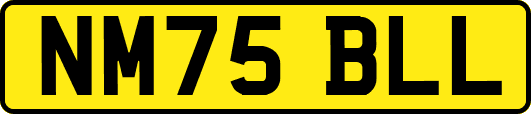 NM75BLL